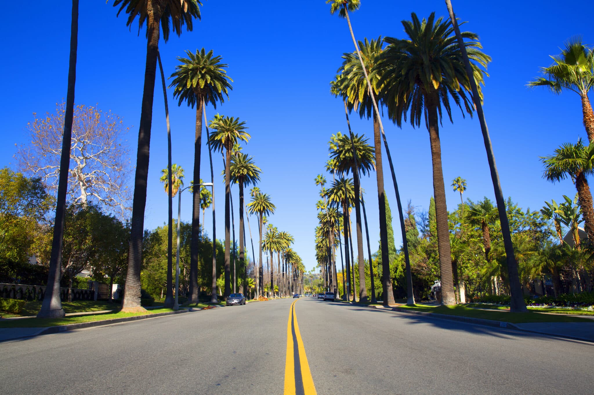 A view looking down the middle of a wide, paved street in Beverly Hills.