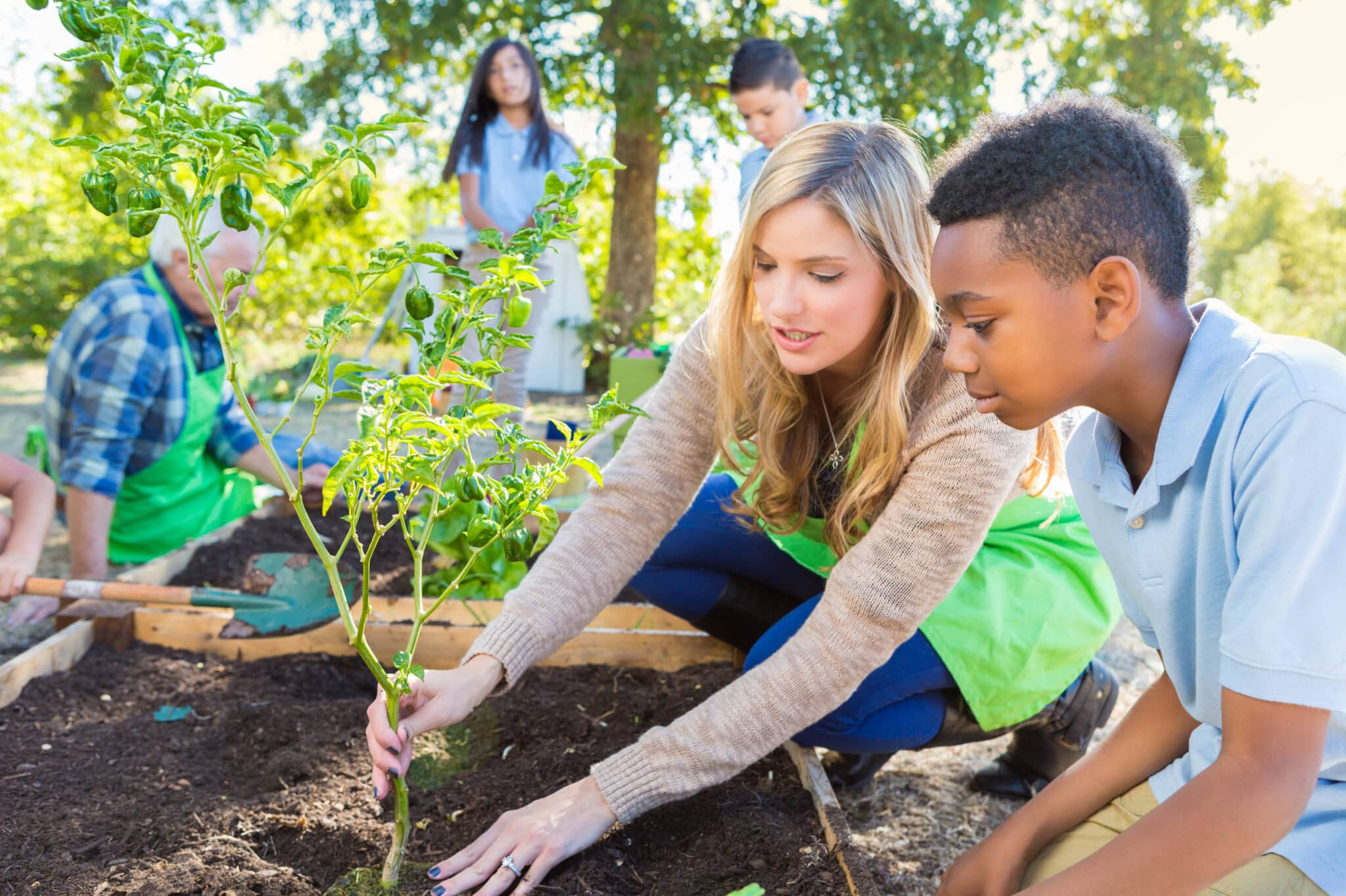 two people planting a tree